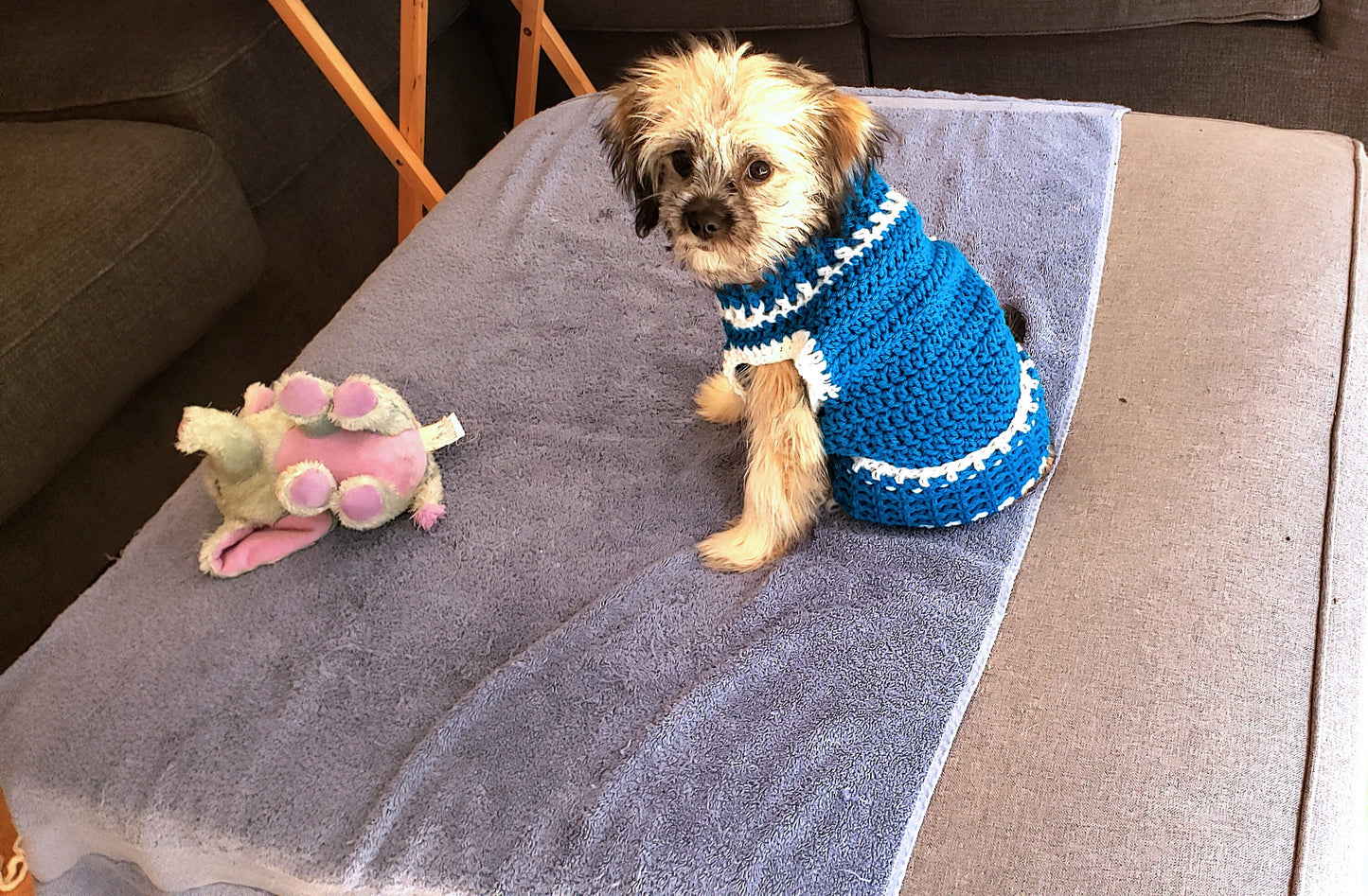 Cat Sweater. Kitty Cozy. Dog Sweater. Pet clothing. Crochet Pet Turtleneck. Puppy Cozy. Blue and White. Fur Baby Sweater. Pet Owner Gift.