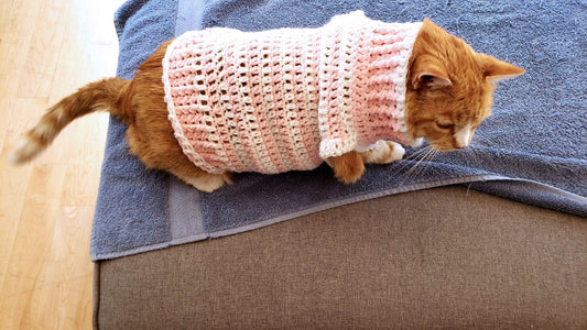 Crochet Cat Sweater